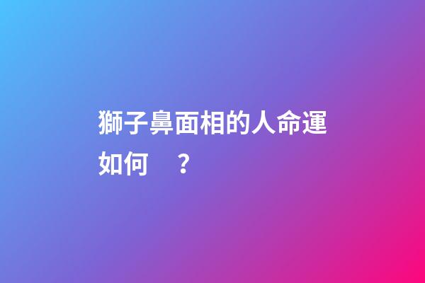 獅子鼻面相的人命運如何？
